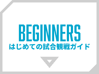 はじめての試合観戦ガイド